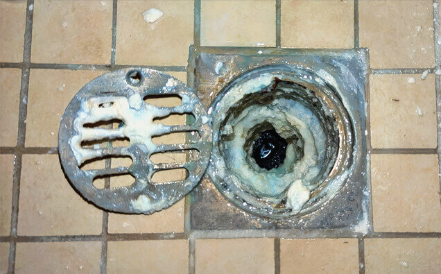 https://blockeddrainskarrinyup.com.au/uploads/2025/07/blocked-shower-drains-33151.jpg