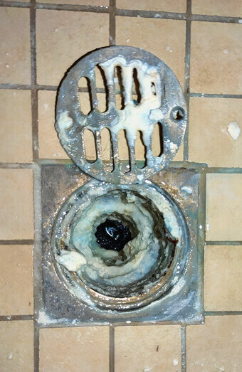 https://blockeddrainskarrinyup.com.au/uploads/2025/07/blocked-shower-drains-86331.jpg