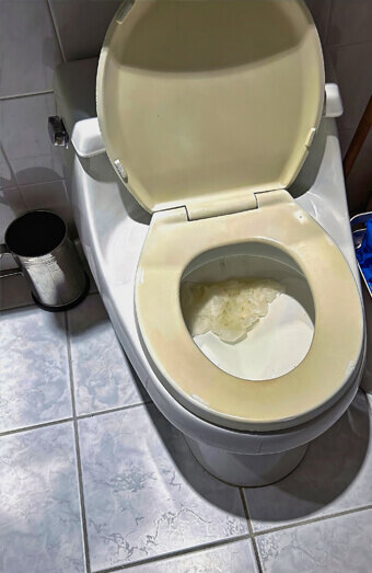 https://blockeddrainskarrinyup.com.au/uploads/2025/07/blocked-toilet-27293.jpg