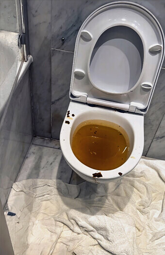 https://blockeddrainskarrinyup.com.au/uploads/2025/07/blocked-toilet-27793.jpg